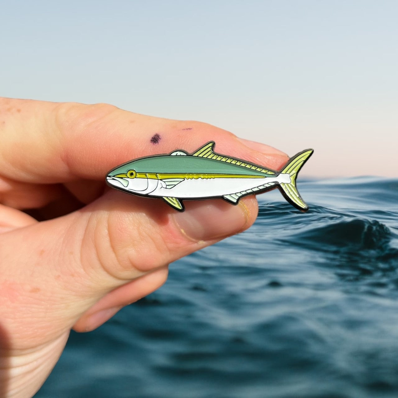 Pin on Fish