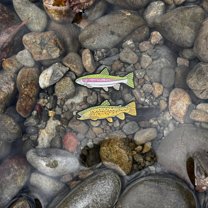 Rainbow Trout Pin