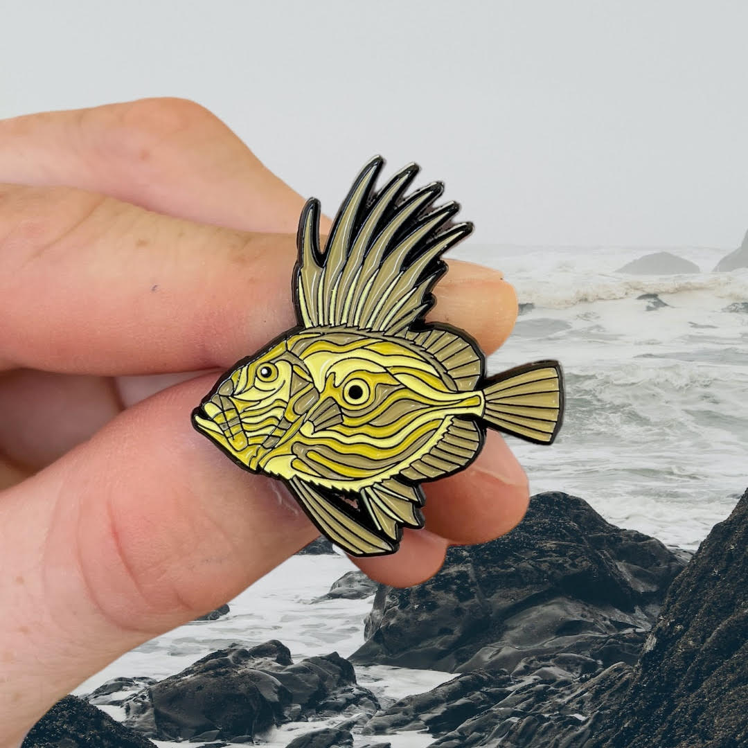 John Dory Pin