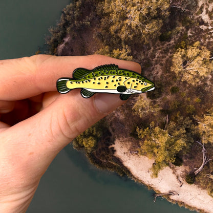 Murray Cod Pin